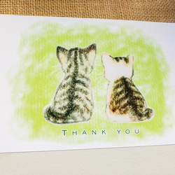 なごみ猫ポストカード　２枚組 2枚目の画像