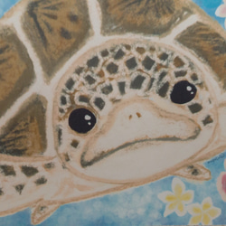 海亀とフラワーのポストカード×２枚組 3枚目の画像