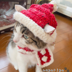 猫ちゃんふわふわサンタ帽とケープセット おもちゃ・ペット小物