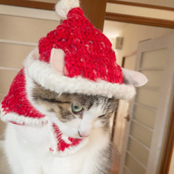ウェーブモヘア猫ちゃんサンタ帽 2枚目の画像