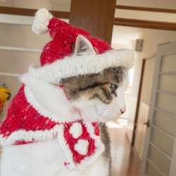 ウェーブモヘア猫ちゃんサンタ帽 3枚目の画像