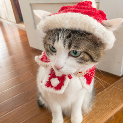 ウェーブモヘア猫ちゃんサンタ帽 4枚目の画像