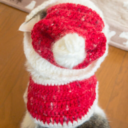 ウェーブモヘア猫ちゃんサンタ帽 8枚目の画像