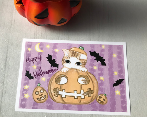猫ちゃんハロウィンかぼちゃポストカード 2枚組 イラスト napuripu