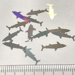 海ガメと鮫のホログラム2種類セット 5枚目の画像