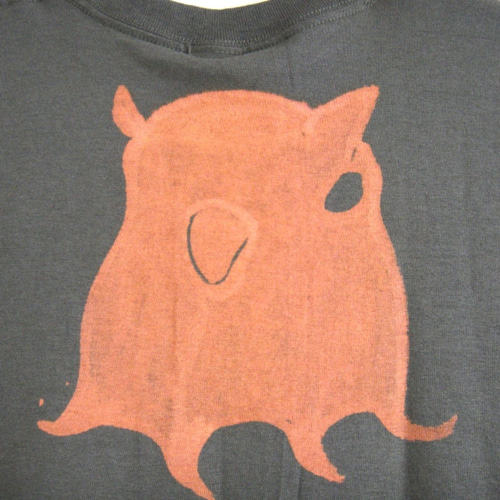 メンダコ!ページです。 🐟深海生物🐙 ┊メンダコ科