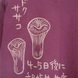 両面絵柄・毒キノコ4種類・中毒症状を明記・レディスM〜Lサイズ（メンズS着丈短め対応サイズ）えんじ＊手描きTシャツ 6枚目の画像