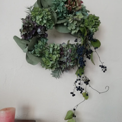 秋色紫陽花と野葡萄のwreath 1枚目の画像