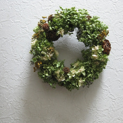 アナベルの秋wreath 3枚目の画像