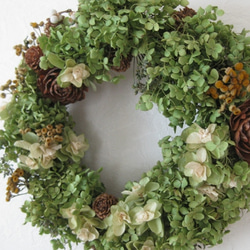 アナベルの秋wreath 4枚目の画像