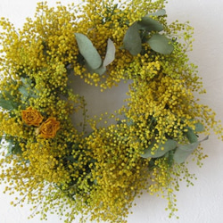 happy mimosa wreath 1枚目の画像