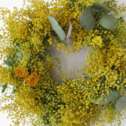 happy mimosa wreath 2枚目の画像