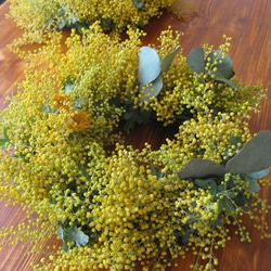happy mimosa wreath 3枚目の画像