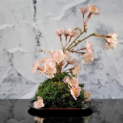 和風モダンなインテリア  桜と苔のアーティシャルフラワーアレンジ 1枚目の画像
