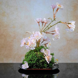 日式現代室內裝飾櫻花和苔蘚artichall插花 第2張的照片
