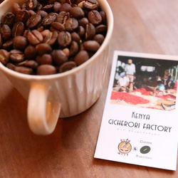 ケニア チャニア・ギチェロリ 250g コーヒー豆 スペシャルティコーヒー 自家焙煎 3枚目の画像