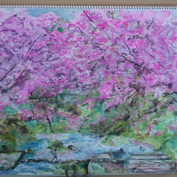 桜の群生と散歩する少年 1枚目の画像