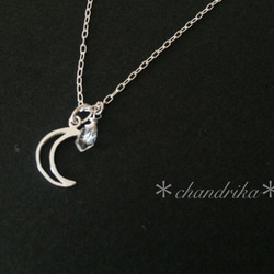 五月份的願望 - 新月和Herkimer鑽石項鍊 第1張的照片