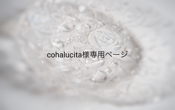 cohalucita様専用ページ 1枚目の画像