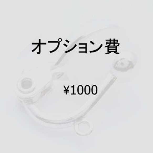 オプション費用　1000円 1枚目の画像