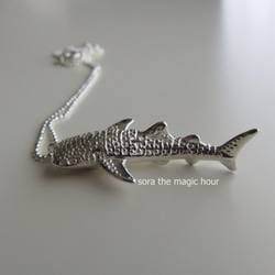 ジンベエザメシルバーネックレス　大人可愛いリアルなジンベエザメ　Whale shark necklace 3枚目の画像
