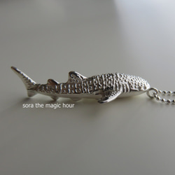 ジンベエザメシルバーネックレス　大人可愛いリアルなジンベエザメ　Whale shark necklace 4枚目の画像