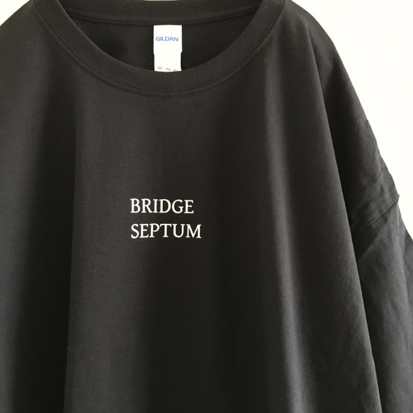 BRIDGE SEPTUM T 3XL BLACK 第2張的照片