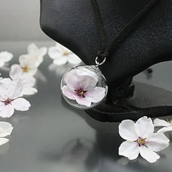 Flower glass Ball Pendant ～桜～ 9枚目の画像