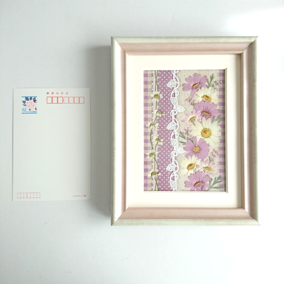 【送料無料】可憐なマーガレットの押し花額・ボーダーピンクのファブリック調デザイン押し花アートフレーム 5枚目の画像