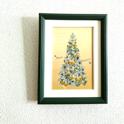 送料無料】押し花アート・ホワイトリーフが美しい ＊シロタエギクの