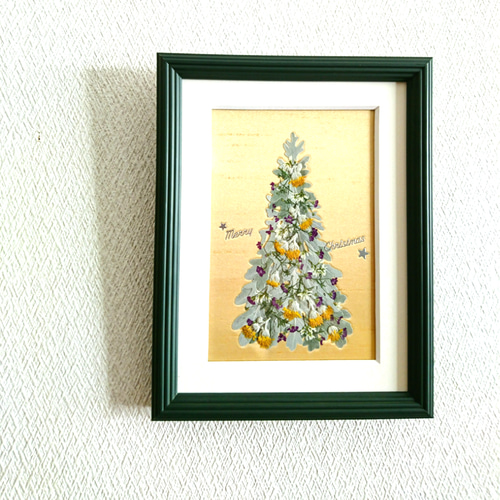 送料無料】押し花アート・ホワイトリーフが美しい ＊シロタエギクの