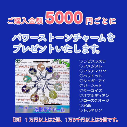 蜷川実花xワコールブラジャーショーツセット廃盤新品未使用