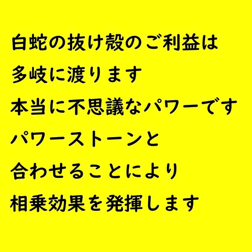 白蛇抜け殻入りプレミアムオルゴナイト＊～お願いうさぎ～＊水晶