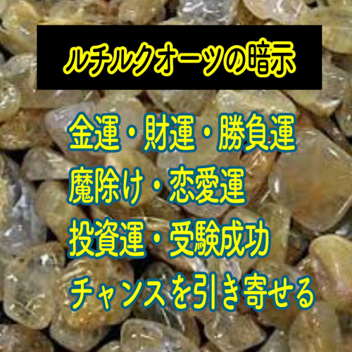 白蛇抜け殻頭部使用＊金箔入＊お守りキーホルダー その他バッグ さくら 