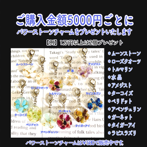 白蛇抜け殻頭部使用＊金箔入＊お守りキーホルダー その他バッグ さくら 
