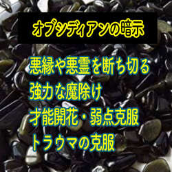 10.白蛇抜け殻入プレミアムオルゴナイト＊キラキラの宝石を持ったお座りくまちゃん＊ハロウィン＊ 6枚目の画像