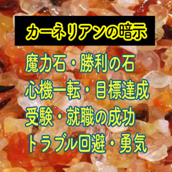 10.白蛇抜け殻入プレミアムオルゴナイト＊キラキラの宝石を持ったお座りくまちゃん＊ハロウィン＊ 9枚目の画像