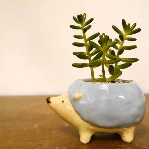 ハリネズミ植木鉢（水色） その他インテリア雑貨 nanairo陶器 通販