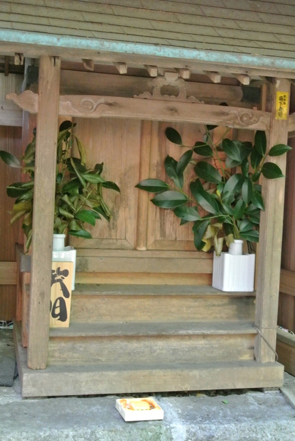熊野ヒーリングブレス～花窟神社　ルチル・黄金竜神　 8枚目の画像