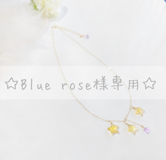 オーダー品☆Blue rose様専用☆ 1枚目の画像