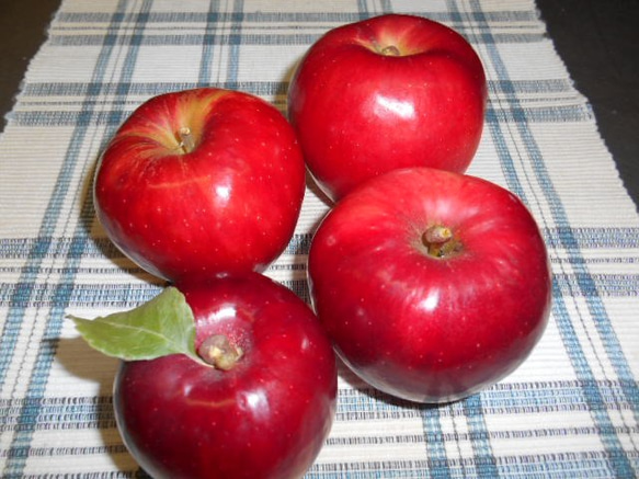 青森りんごの  紅玉たっぷり　タルト　カスタードポム18cm　 5枚目の画像