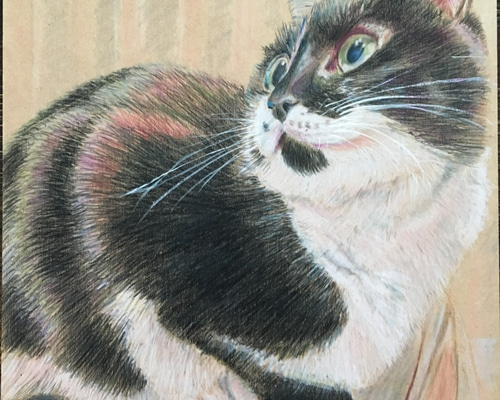 0_784c035cfcc5eb1321a96134e178