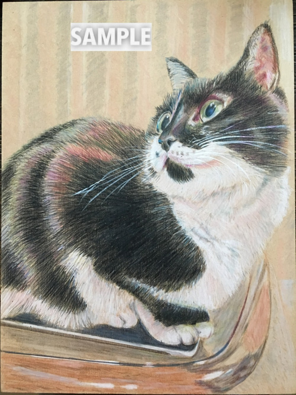 色鉛筆画A4 リス.1 色鉛筆画A4 リス.1 - 絵画セール
