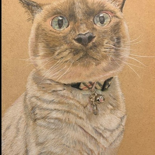 ペットの肖像画 A4色鉛筆画（オーダー制作） 絵画 胡桃の木 通販