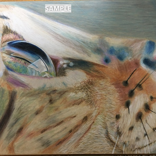 ペットの肖像画 A4色鉛筆画（オーダー制作） 絵画 胡桃の木 通販
