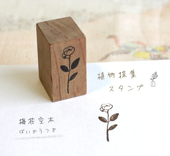 植物採集スタンプ『梅花空木（バイカウツギ）』 1枚目の画像