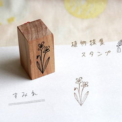 植物採集スタンプ『すみれ』 1枚目の画像