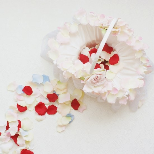 フラワーシャワー用40人分 花びらのみ その他オーダーメイド フラワー