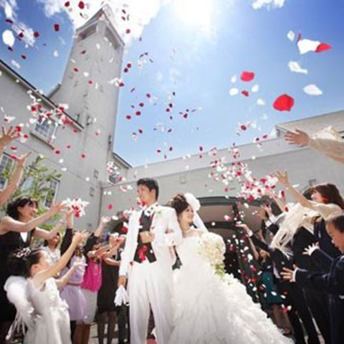 フラワーシャワー用40人分 花びらのみ その他オーダーメイド フラワー