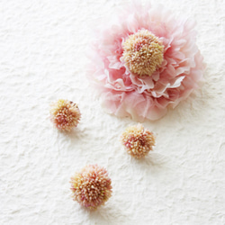 モコモコが可愛い多肉植物のブロッコリーリング～　ピンク 3枚目の画像